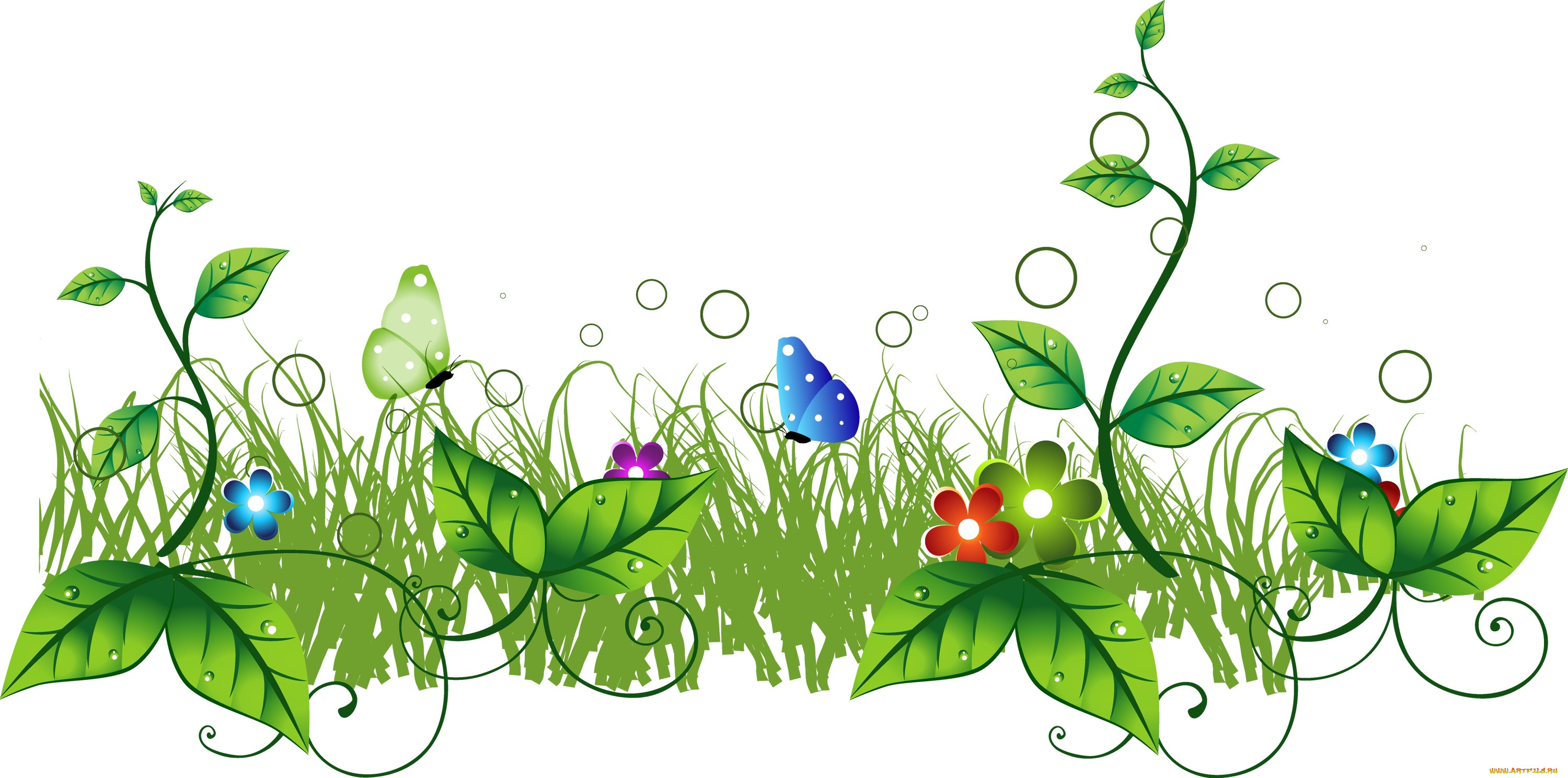  ,  , flowers, , 